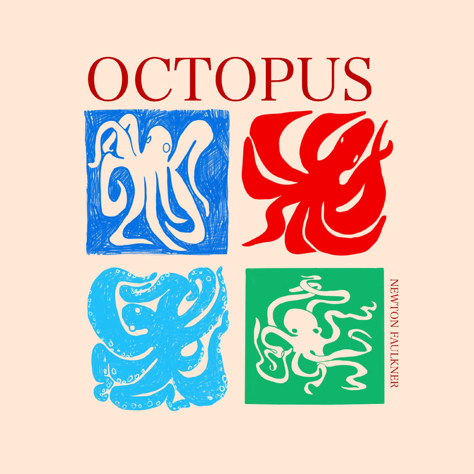 Newton Faulkner Octopus