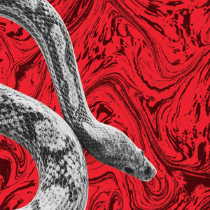 Noah Gundersen California/All Your Love