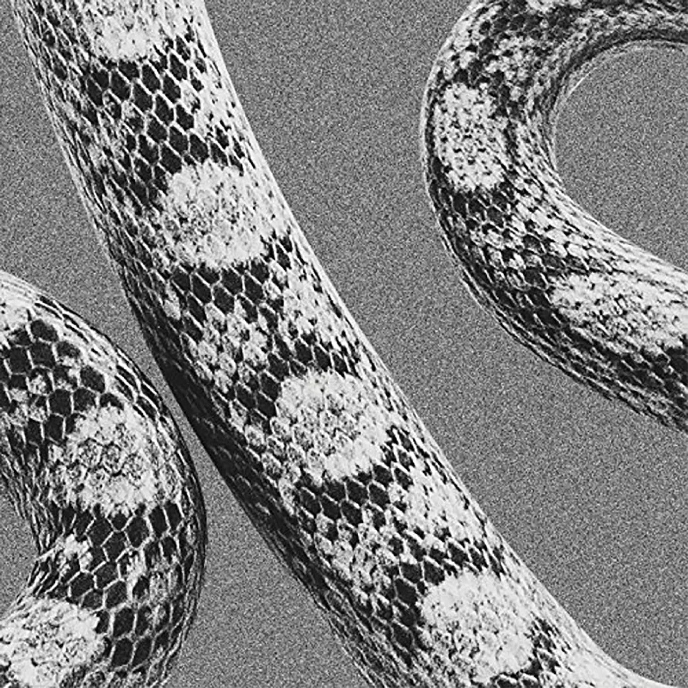 Noah Gundersen God Don'T Talk To Strangers/Lady Of The Ocean