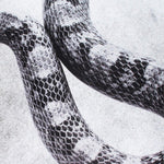 Noah Gundersen I'M Alright/Fine