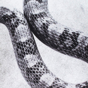 Noah Gundersen I'M Alright/Fine