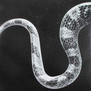 Noah Gundersen Sentimental Kids/Last Of The Leavers