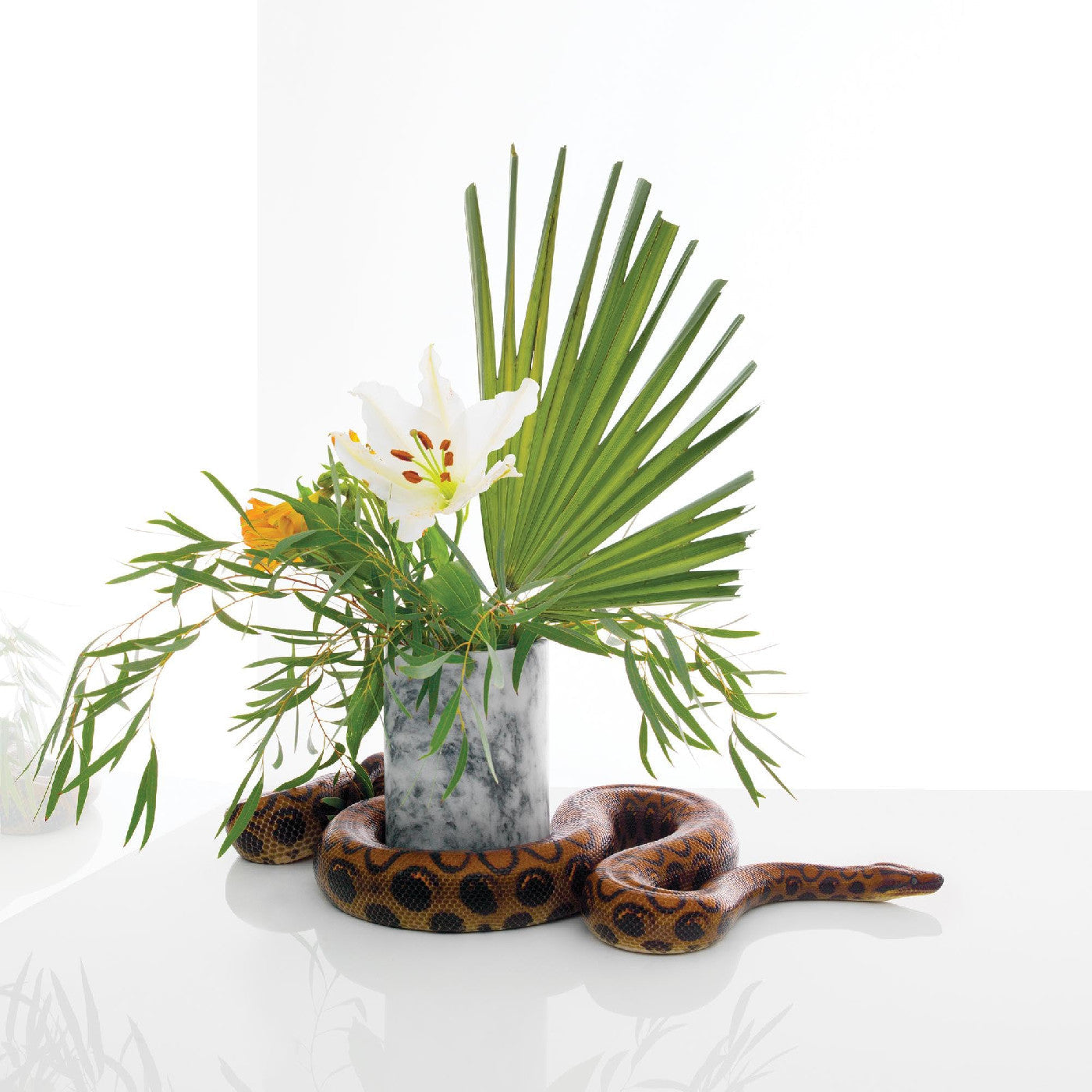 Noah Gundersen White Noise