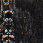 O MORTO The Forest, The People And The Spirits