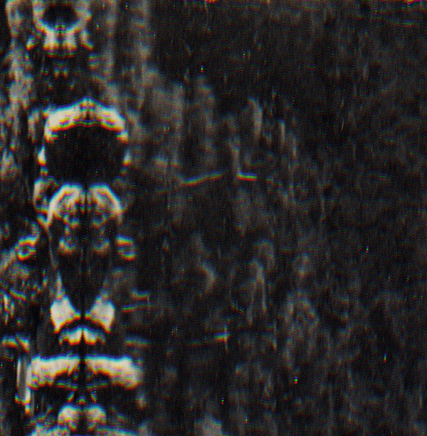 O MORTO The Forest, The People And The Spirits