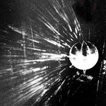 OISEAUX-TEMPETE What On Earth (Que Diable)