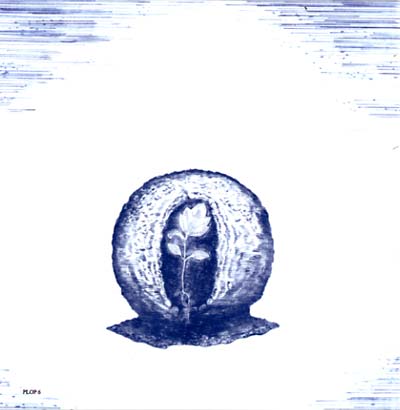 OLD SPLENDIFOLIA Swaying Boldly Afar