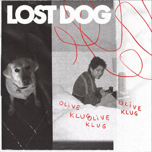 Olive Klug Lost Dog