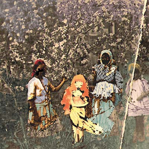 PAAVOHARJU Laulu Laakson Kukista