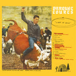 Parquet Courts Light Up Gold