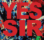 PENNY RIMBAUD'S L'ACADEMIE DES VANITES Yes Sir, The Truth Of Revolution