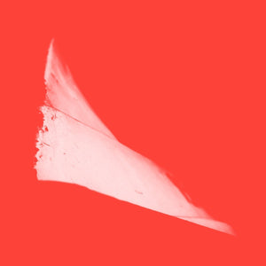 PHILL NIBLOCK G2,44+/X2