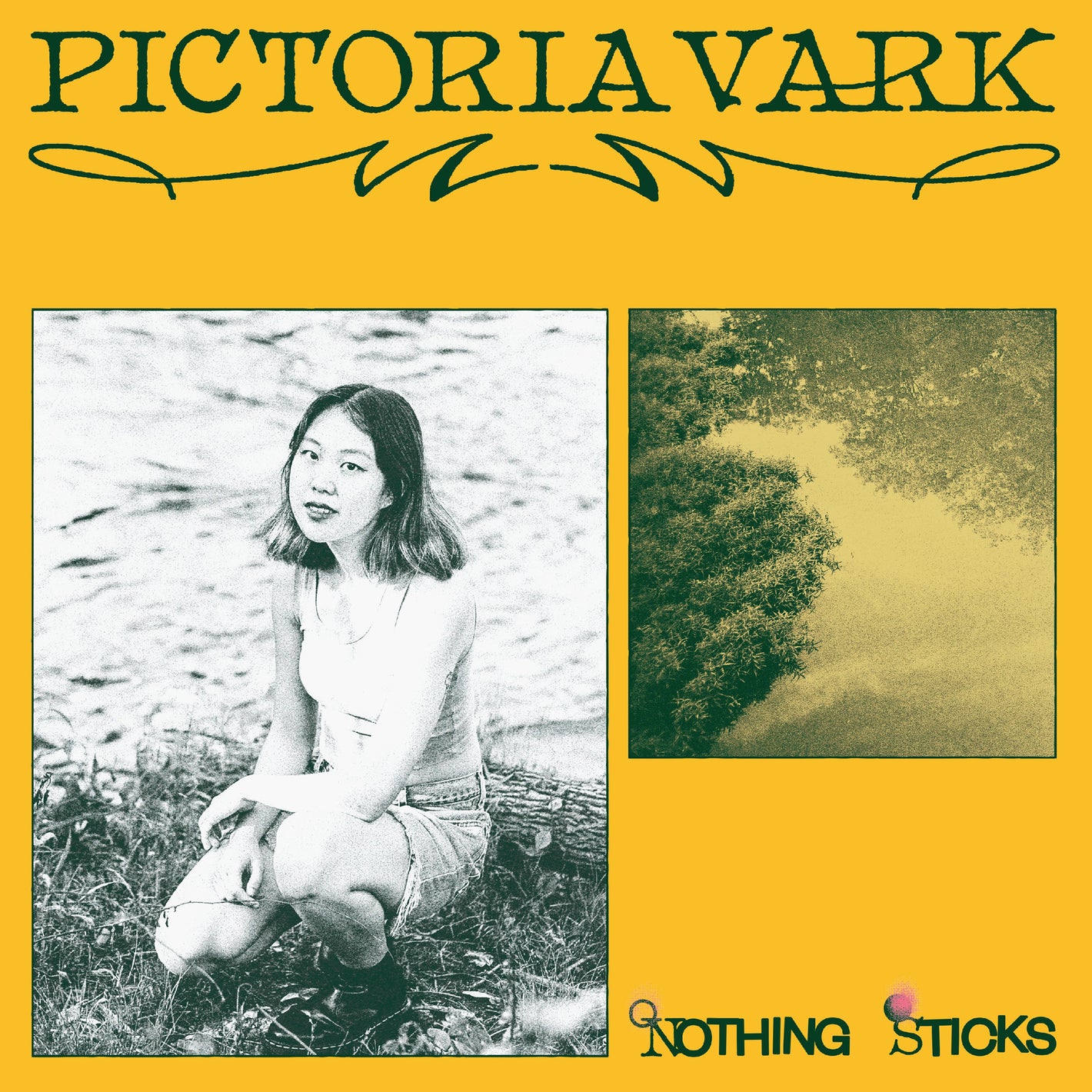 Pictoria Vark Nothing Sticks