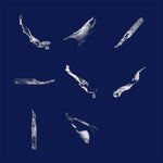 PIERCE WARNECKE Memory Fragments