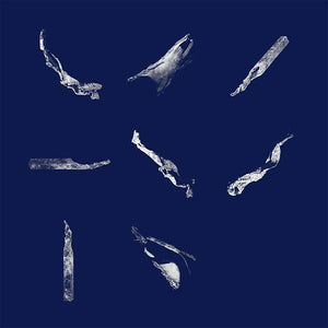 PIERCE WARNECKE Memory Fragments