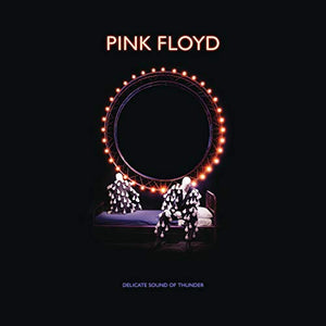 Pink Floyd Delicate Sound Of Thunder - Restored, Re-Edited, Remixed