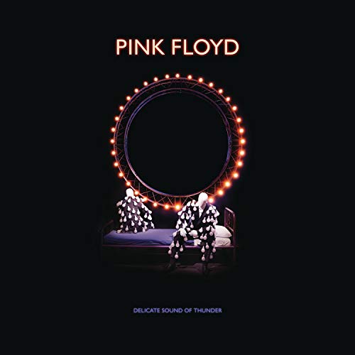 Pink Floyd Delicate Sound Of Thunder - Restored, Re-Edited, Remixed