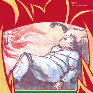 POREST Cancer in the Soft Breeze