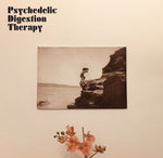 PSYCHEDELIC DIGESTION THERAPY Psychedelic Digestion Therapy