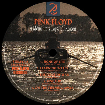 A Momentary Lapse Of Reason 5