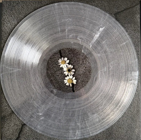 Petal 5