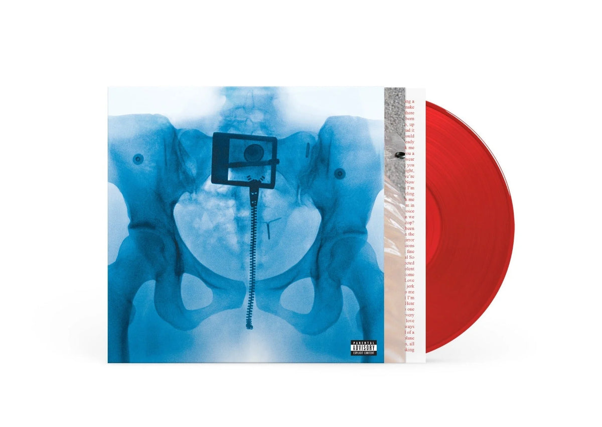 King Gizzard and the Lizard Wizard Flight B741 [Explicit Content] (180 Gram Viny 2