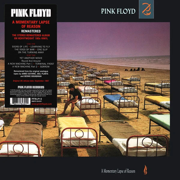 A Momentary Lapse Of Reason 2