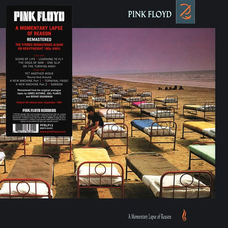 A Momentary Lapse Of Reason 2
