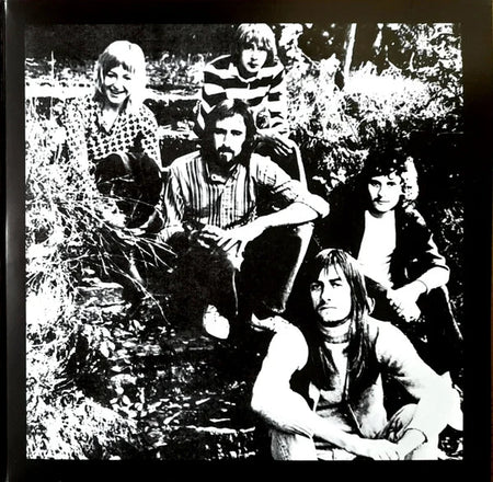 Fleetwood Mac's Greatest Hits 7