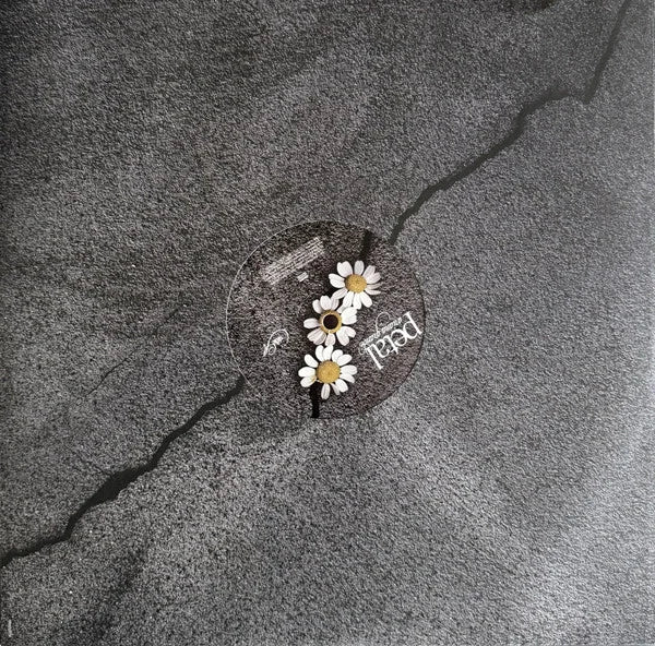 Petal 7
