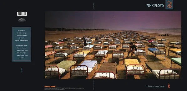A Momentary Lapse Of Reason 4