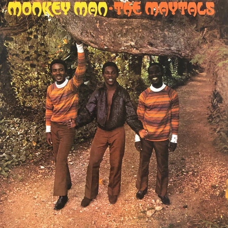 Monkey Man