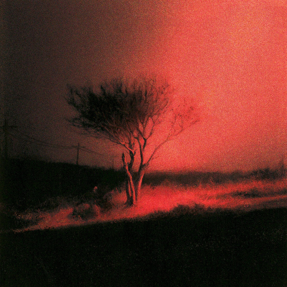 Piss In The Wind 6