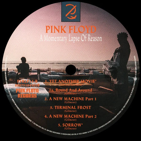 A Momentary Lapse Of Reason 6