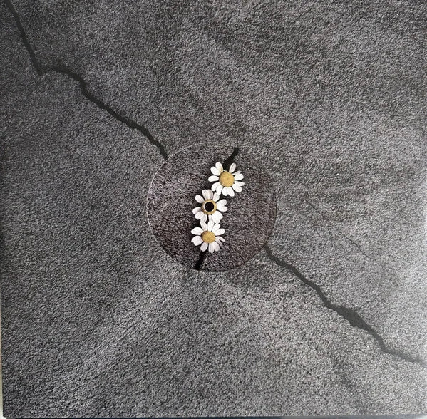 Petal 6