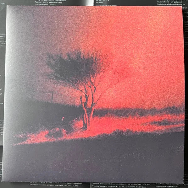 Joji - Piss In The Wind | LP + Poster | Lo-Fi R&B 7