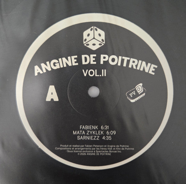 Angine De Poitrine Vol. II | LP | Acid Techno Disco Rock | Quebec 2