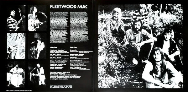 Fleetwood Mac's Greatest Hits 5