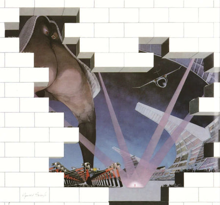 The Wall 7