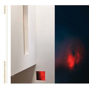 PULSHAR Blood and Mathematics