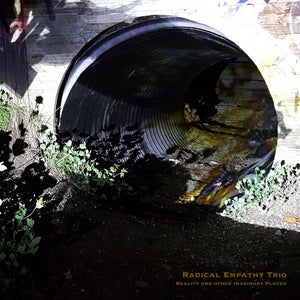 RADICAL EMPATHY TRIO Reality And Other Imaginary Places