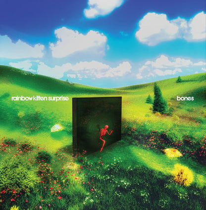 Rainbow Kitten Surprise Bones (Standard Black Vinyl)