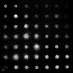 RAYON A Beat Of Silence