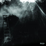 REINHOLD FRIEDL & ERYCK ABECASSIS Animal Electrique