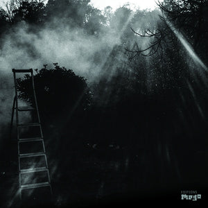 REINHOLD FRIEDL & ERYCK ABECASSIS Animal Electrique