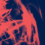 Rival Consoles Landscape From Memory (Translucent Vinyl)