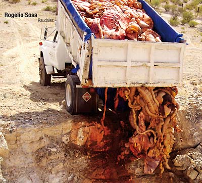 ROGELIO SOSA Raudales