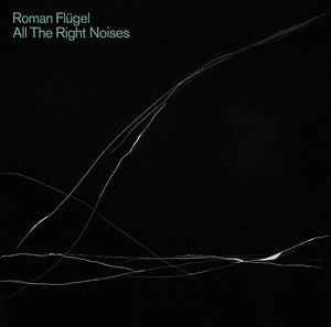 Roman Flugel All The Right Noises