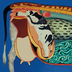 Ryan Power World of Wonder