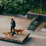 SAINT DX Way Back Home